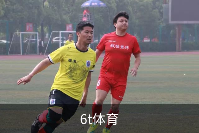 关于6t体育